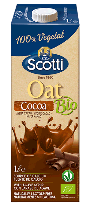 Riso Scotti Овсяный напиток с какао BIO
